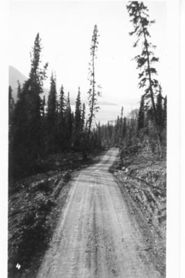 The Norman Wells Road in September 1943, 52 miles from Johnson's Crossing. 