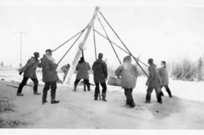 8 men raising a telephone pole, Alaska Highway 1941-1944